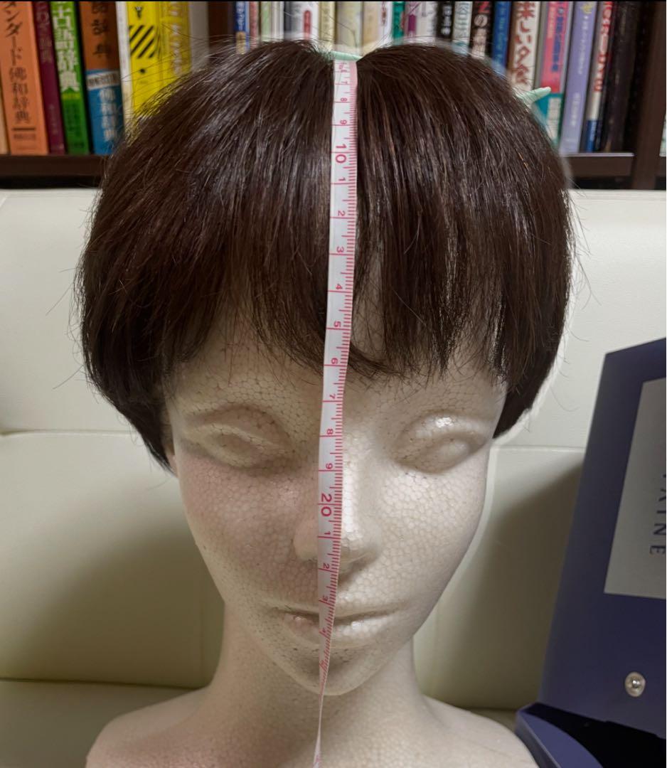 アデランス フォンテーヌ バランプレミアム 栗色 ハーフウィッグ 未使用に近い