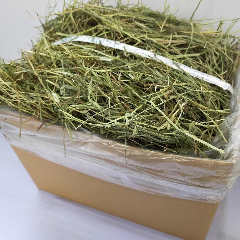 【家計応援価格】US産 チモシー 100kg ２番刈 ソフトSプレミアム