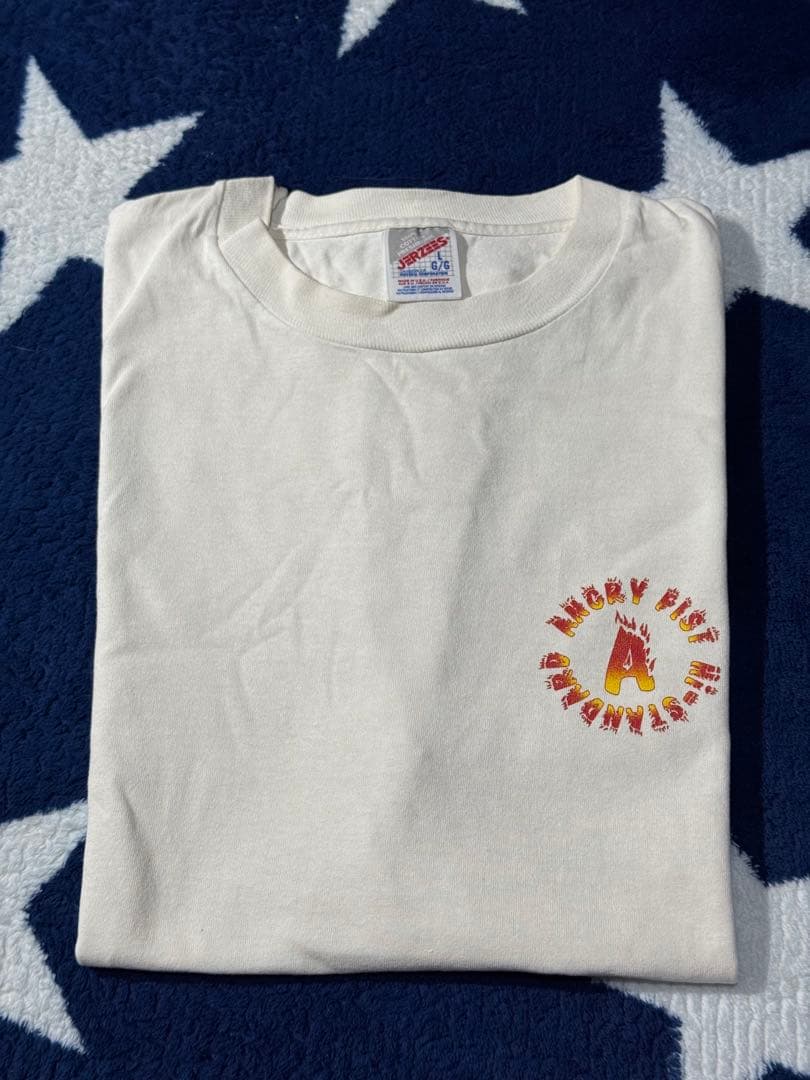 90s ハイスタ Hi-STANDARD バンド ツアーＴ