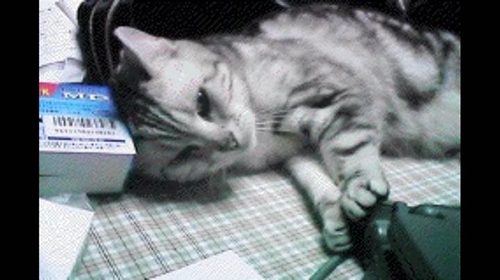 ★ペットのイラスト オーダーメイド作品 アクリル画 額付