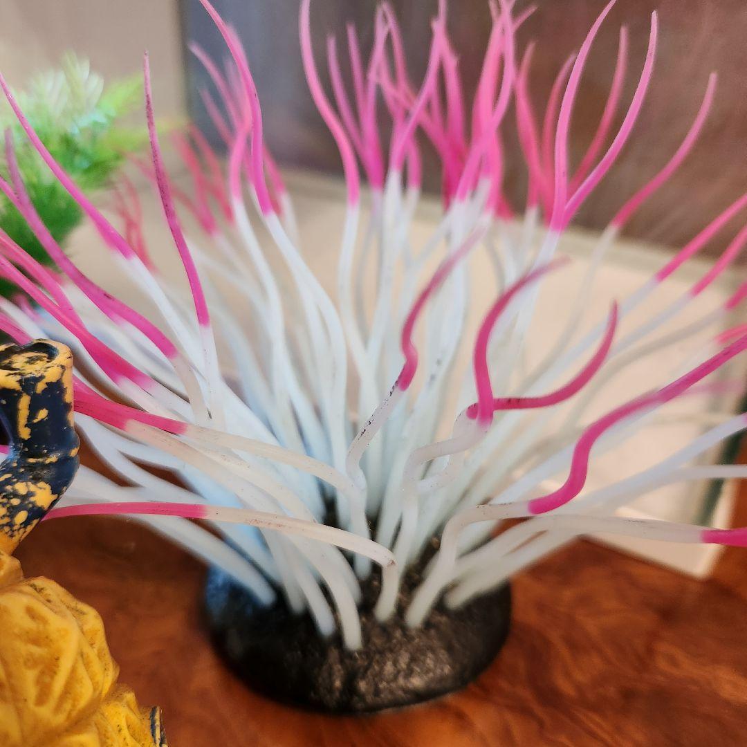 RAKU TERIOR 水槽セット ラクテリア GEX 26点セット 海水 水槽