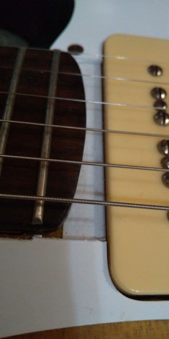 メーカー不明 レリックギター