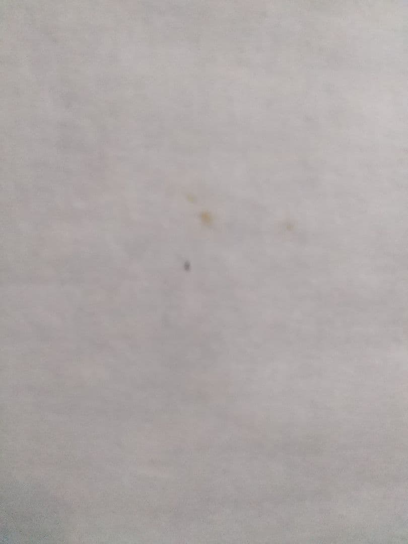 寒山拾得図 拓本  掛軸  (本表装)