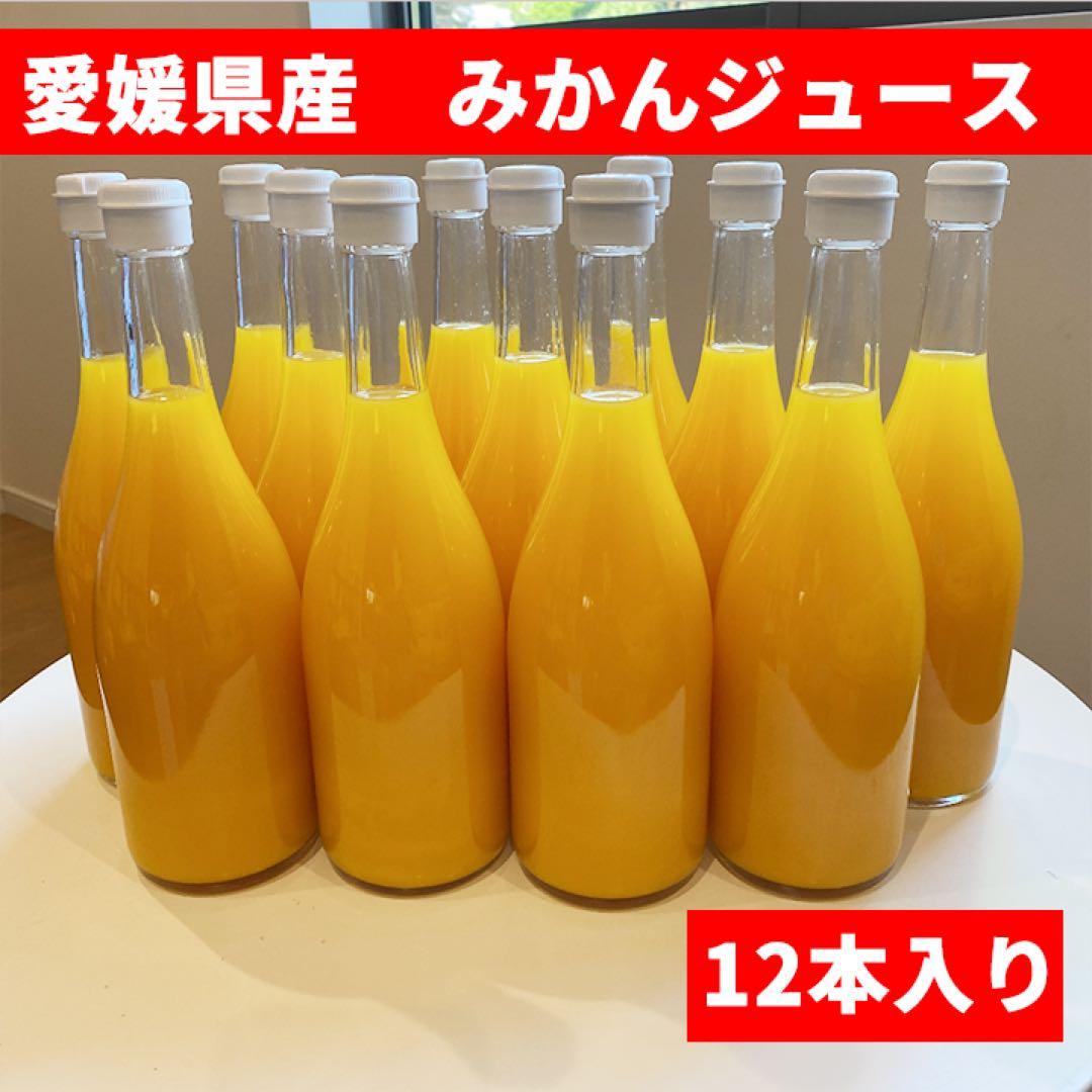 愛媛産 無添加 100%ストレートみかんジュース＆ポンカンジュース 12本セット