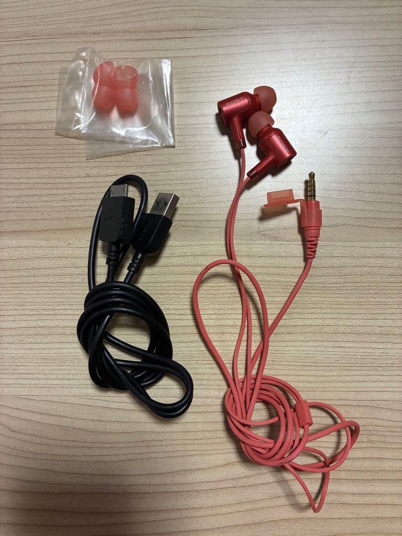 SONY ウォークマン レッド NW-A55 本体 付属品 イヤホン