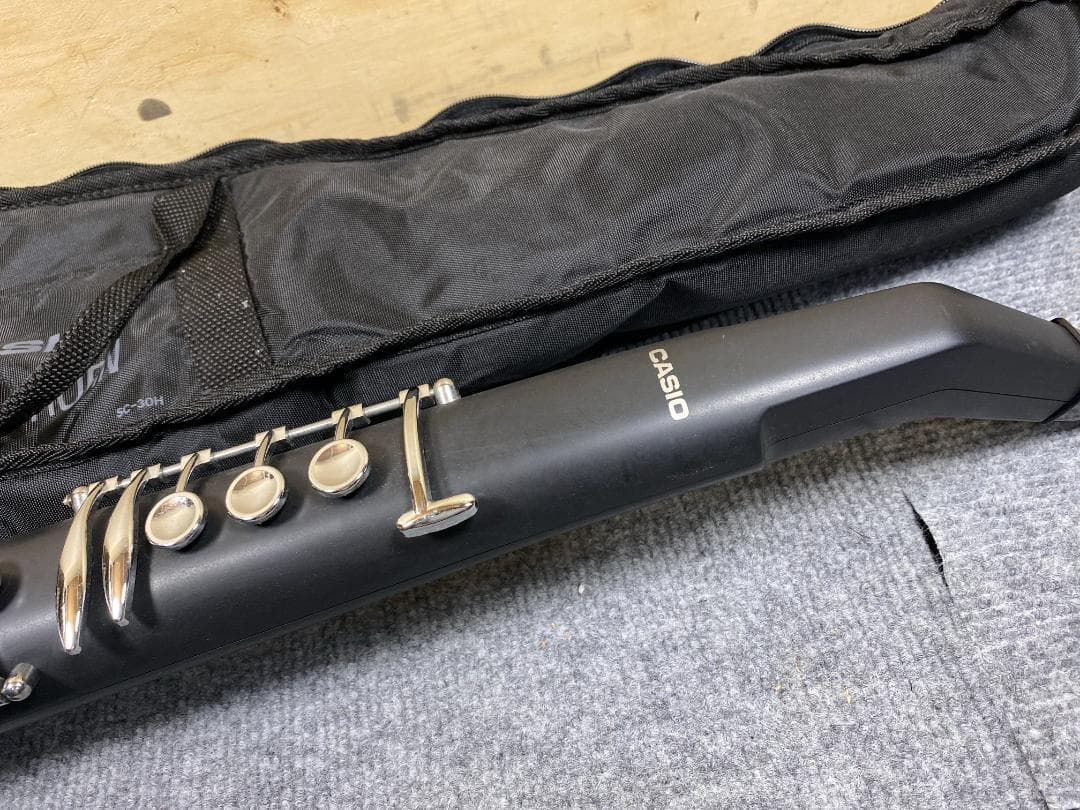 815 CASIO DH-500 デジタルホーン