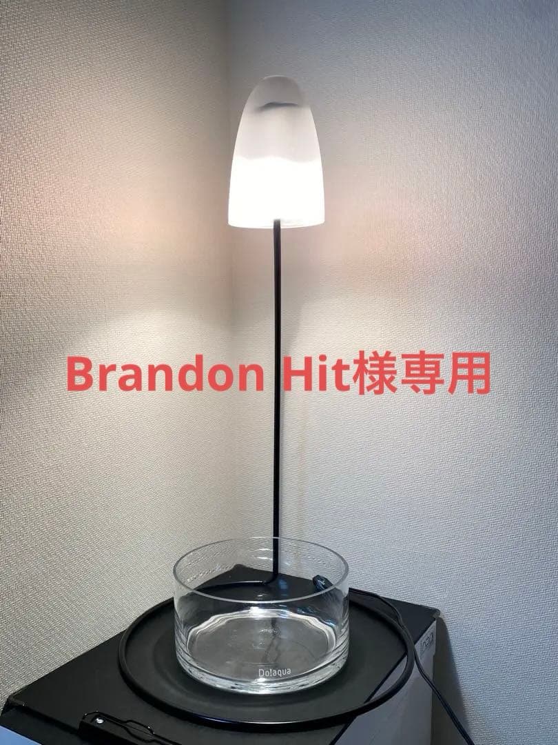 【廃盤】ADA Do!aqua ブランチ・ブラック　アクアデザインアマノ　天野尚