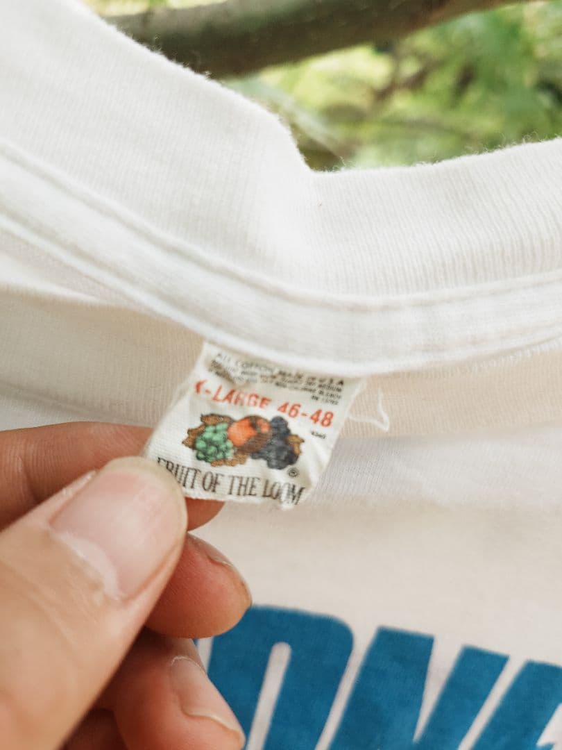 80s RAMONESラモーンズ Tシャツ XL USA製