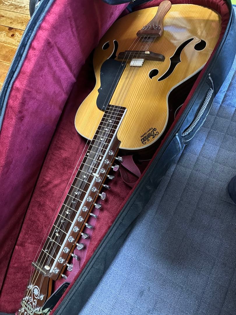 インド楽器 モハーンヴィーナ　Mohan Veena アコースティックギター