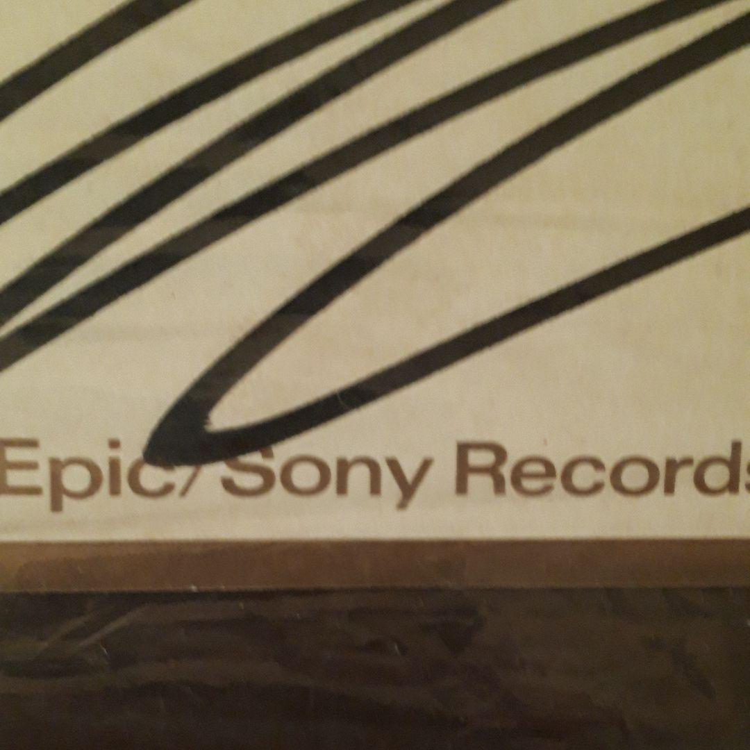 半額セール　TMNの三人のサイン入り色紙