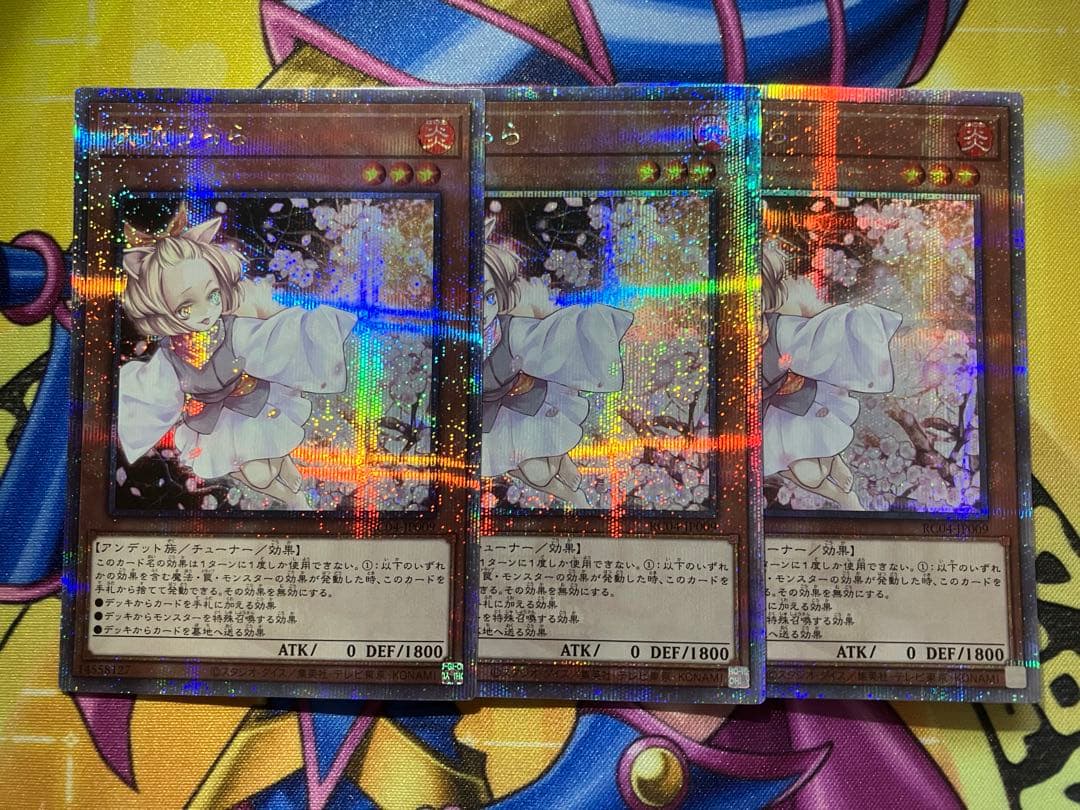 遊戯王　灰流うらら　25thシク　クオシク　3枚セット