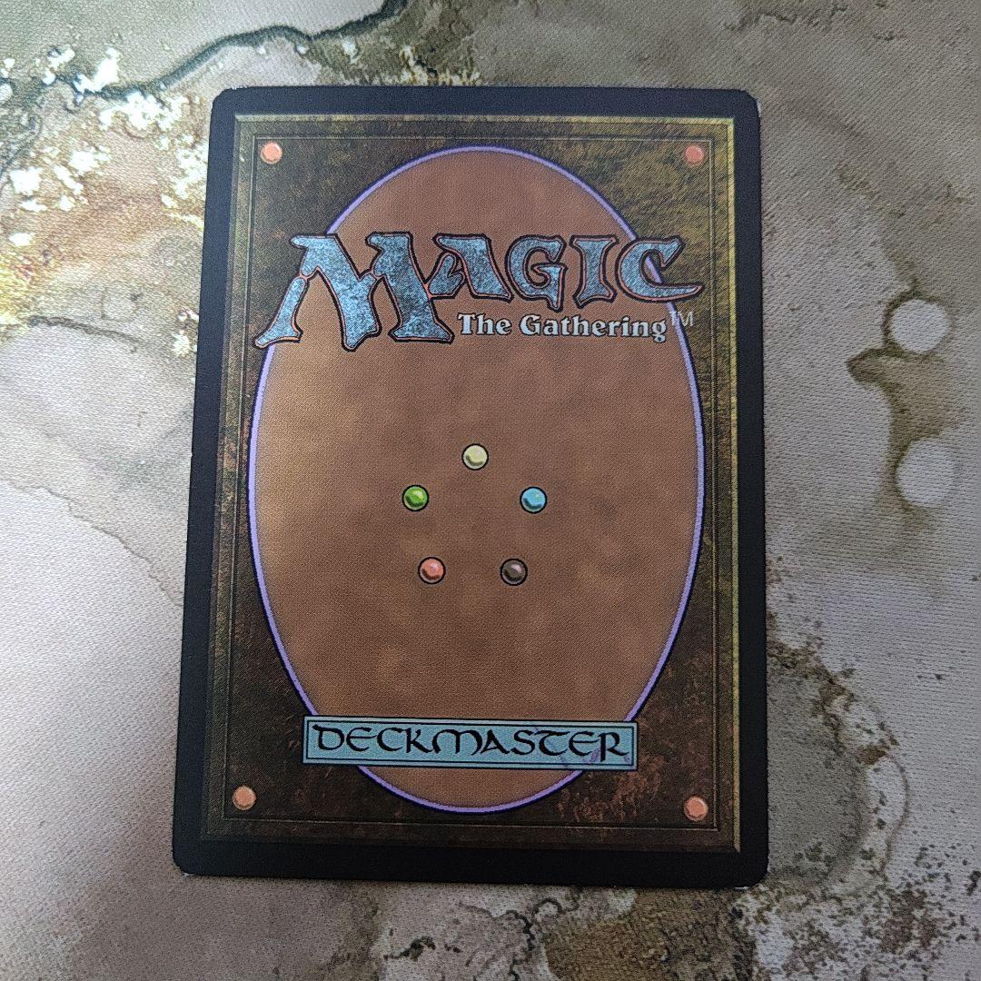 MtG 霧深い雨林 ZEN英語 サインド 1枚