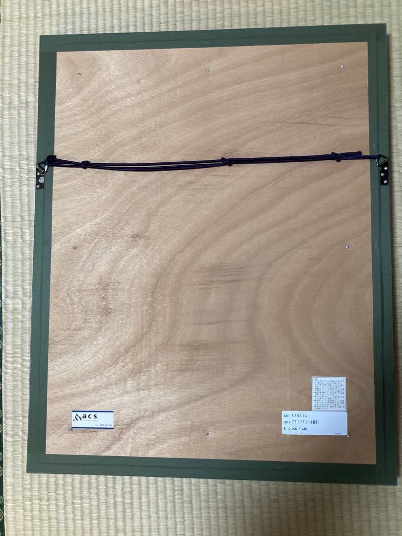 KAGAYA アクエリアス(水瓶座)