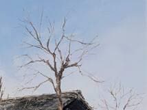 【真作】絵画　渡辺啓一　油彩6号　鳥久保　郷愁の日本風景　静かな農村　X118