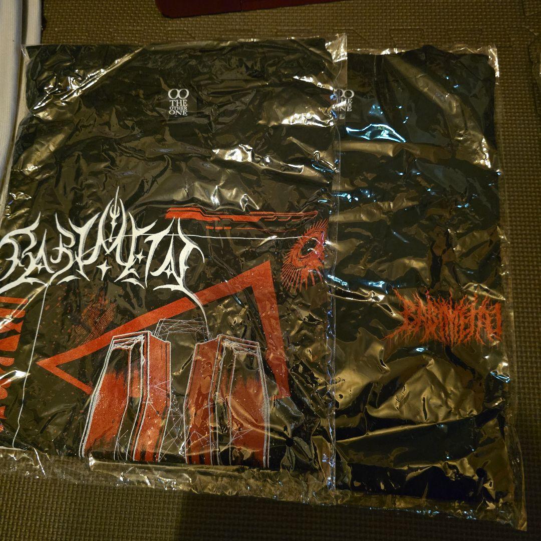 BABYL Tシャツ（ロンT 1枚含む）13枚セット