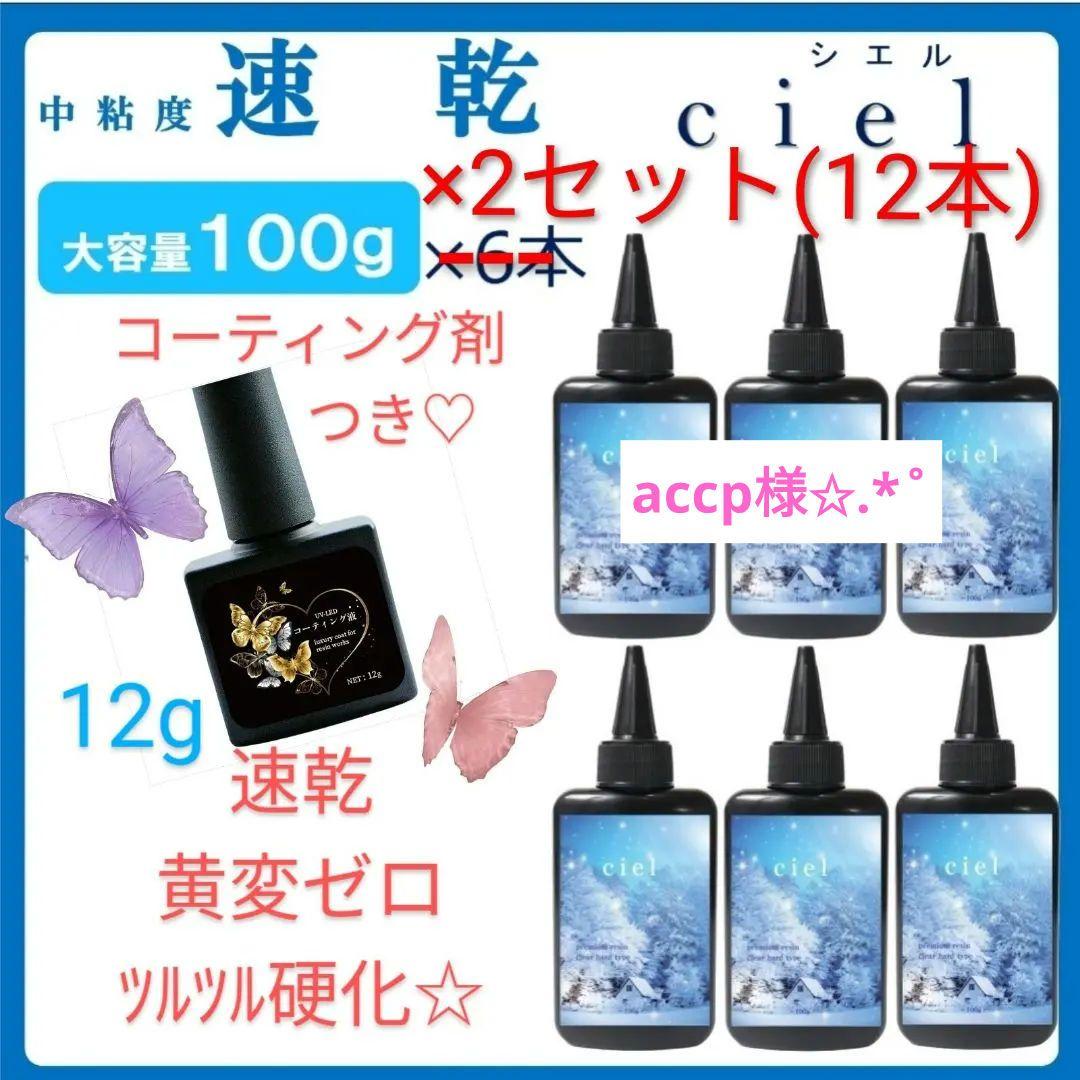 専用レジン液 シエル12本、コーティング剤つき