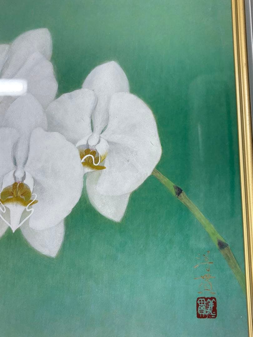 「胡蝶蘭」　下島洋貫　絵画　日本画　風景画　額装　共シール　箱袋有り