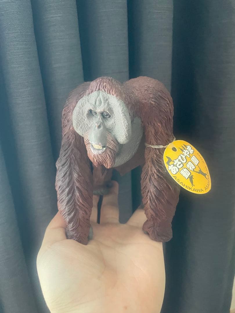 オランウータン フィギュア あさひやま動物園