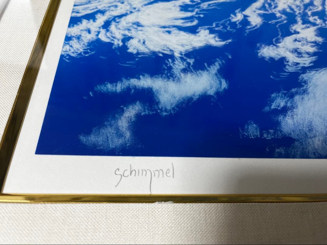 【希少価値の黒豹】シムシメール 「未来を探し求めて」美品 ジークレー 絵画 AP