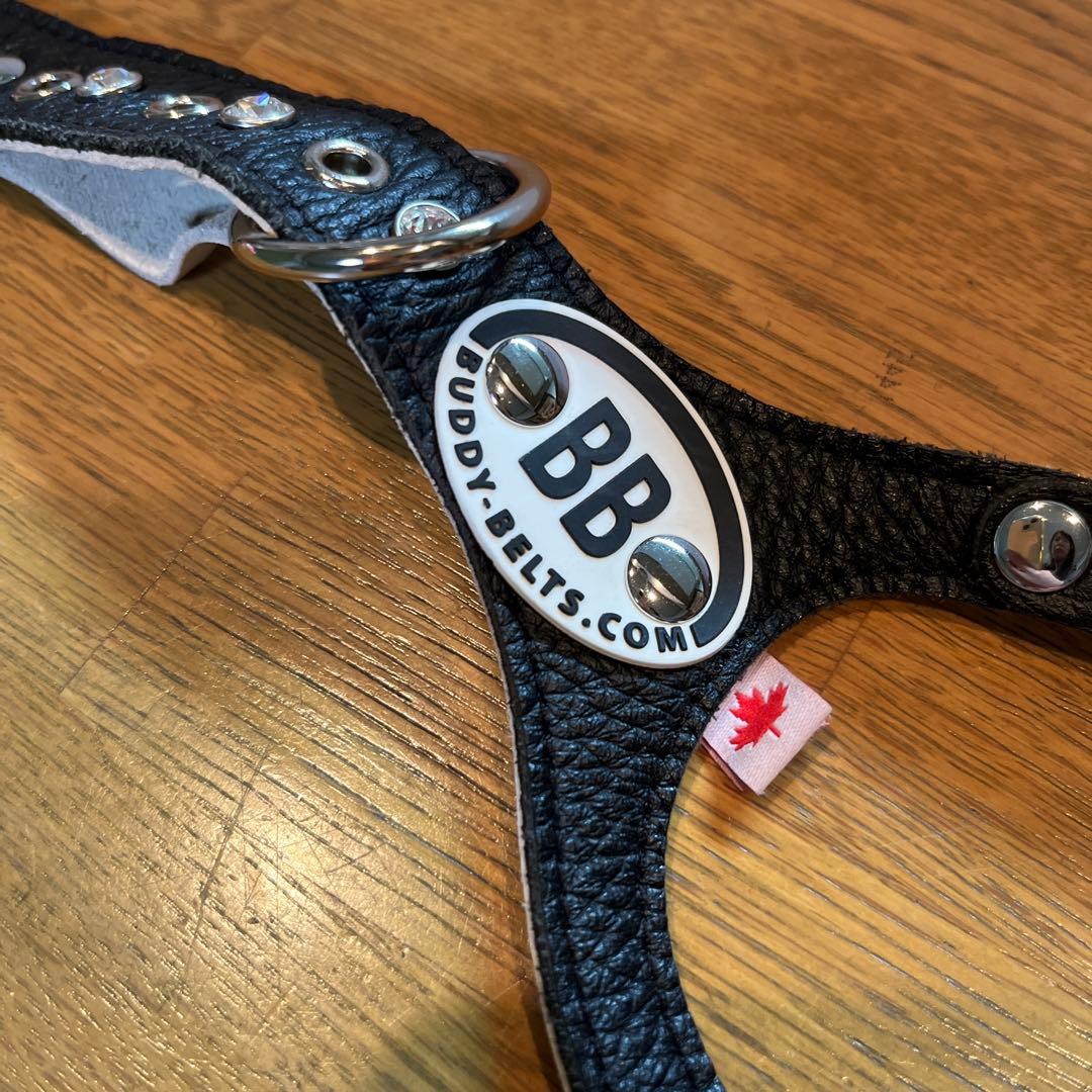 BUDDY BELT バディベルト　ブラック5