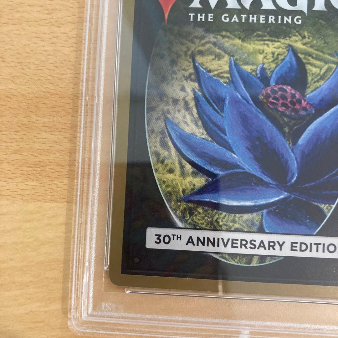 PSA10 旧枠 Demonic hordes MTG 30th edition