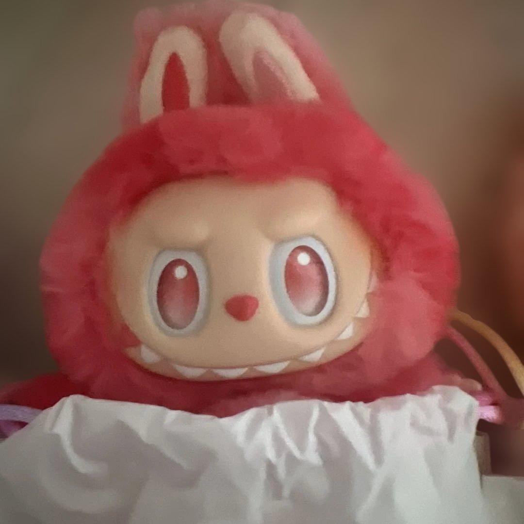 H*A様 【正規品】Labubu Big into Energy ラブブ 6体セ