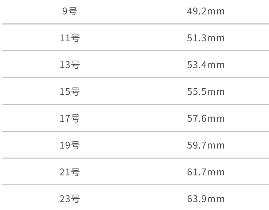 DARK SOULS TORCH TORCH 寵愛の指輪 新品未開封 21号