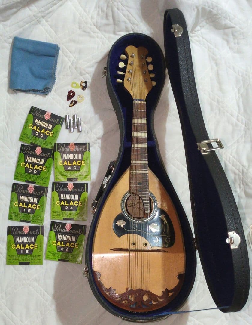 KUNISHIMA MANDOLIN No.4 ハードケース　備品付　マンドリン