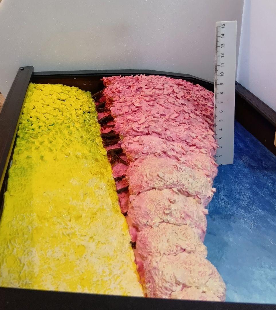 「権現堂公園の桜と菜の花」（未来絵画）