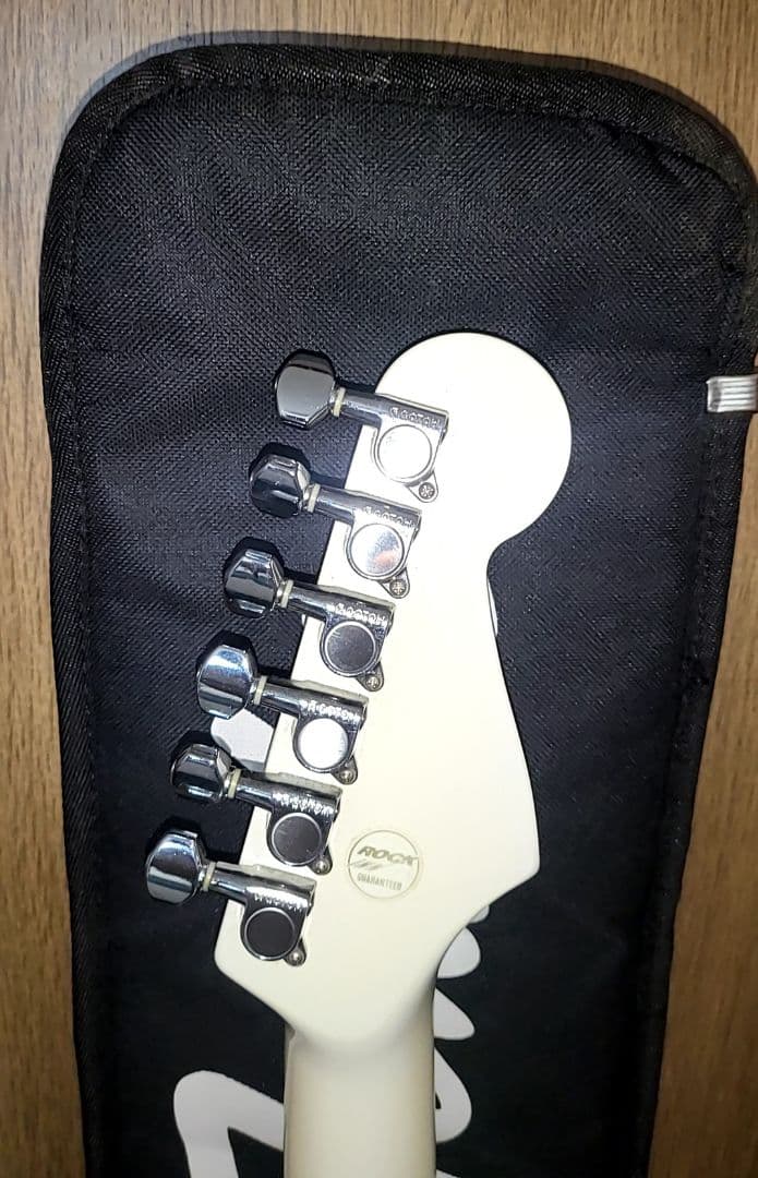 FERNANDES THE FUNCTION CUSTOM BODYエレキギター