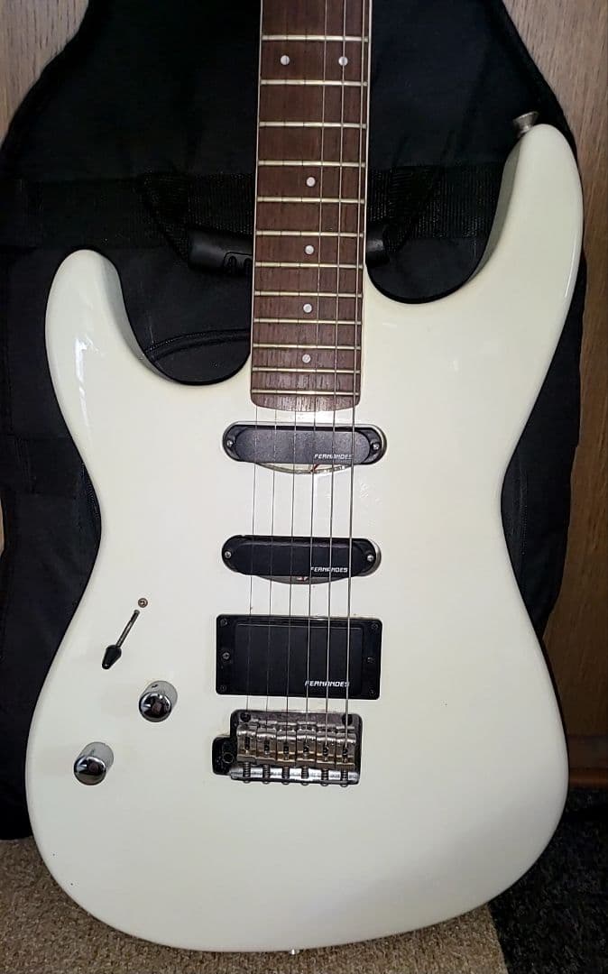 FERNANDES THE FUNCTION CUSTOM BODYエレキギター