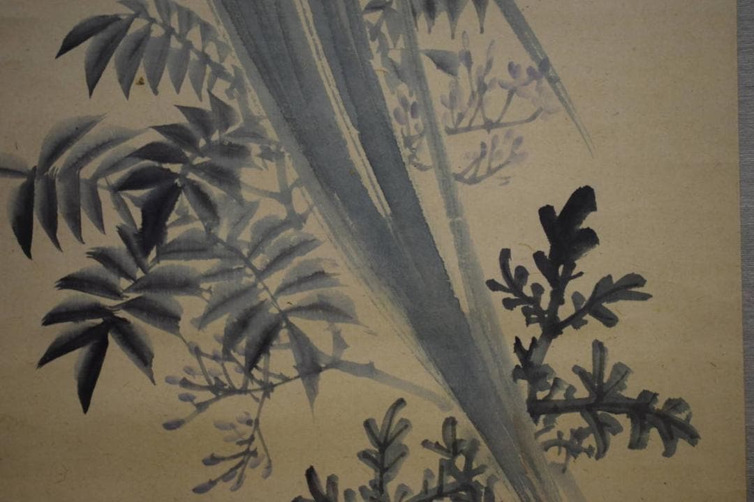 真作/広島県/福山市/羽田桂舟/菖蒲図/桐題箱付/布袋屋掛軸HI-470