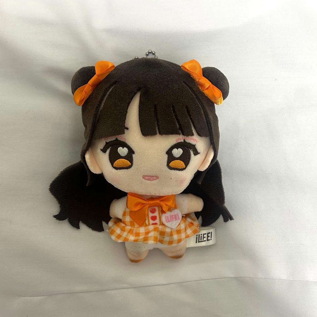 小熊まむ ぬいぐるみ iLife! 推しぬいマスコット 武道館