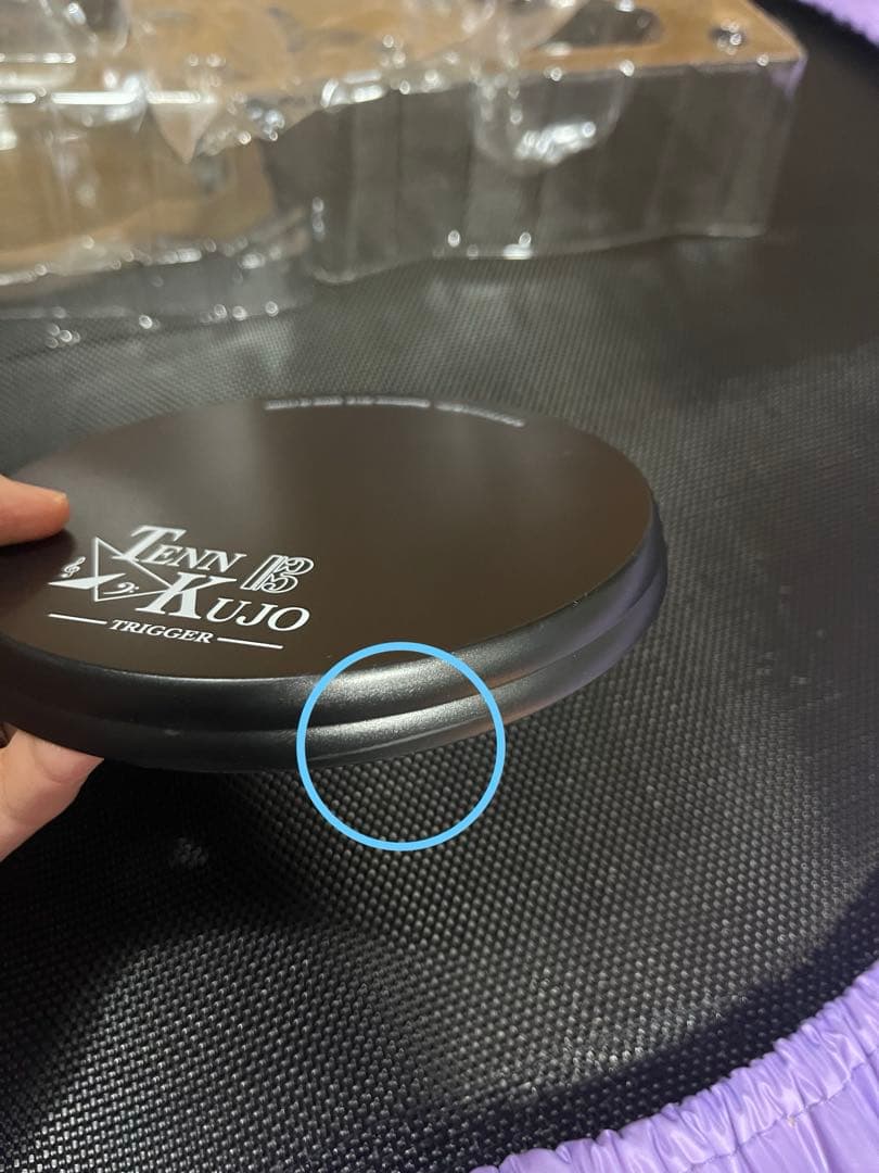 【開封済み】パルメイト　えくすとら　九条天 フィギュア TRIGGER