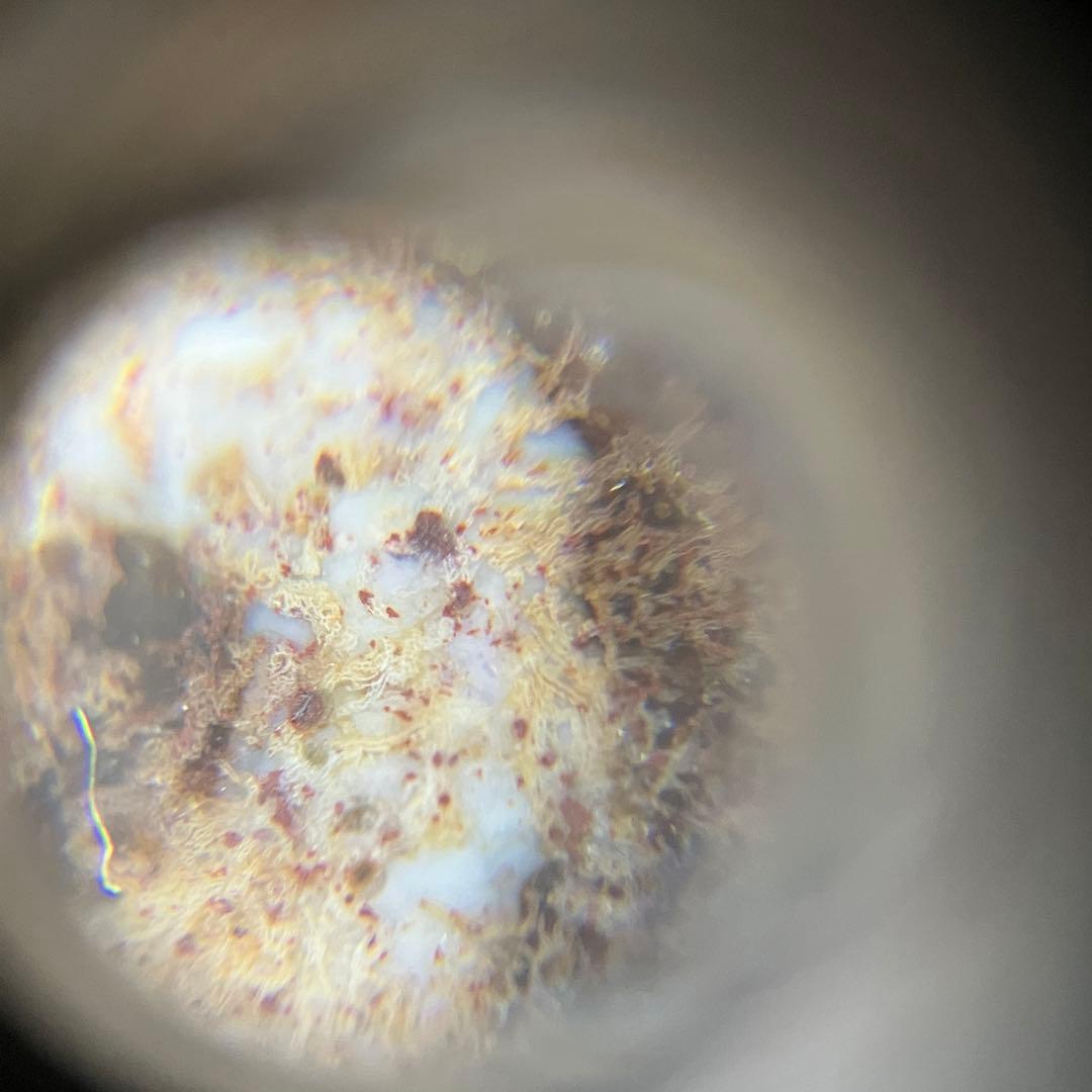 マニアおすすめ　一点物超大きい　紅朱砂 三十六眼天珠ネックレス　喜馬拉雅九頁岩