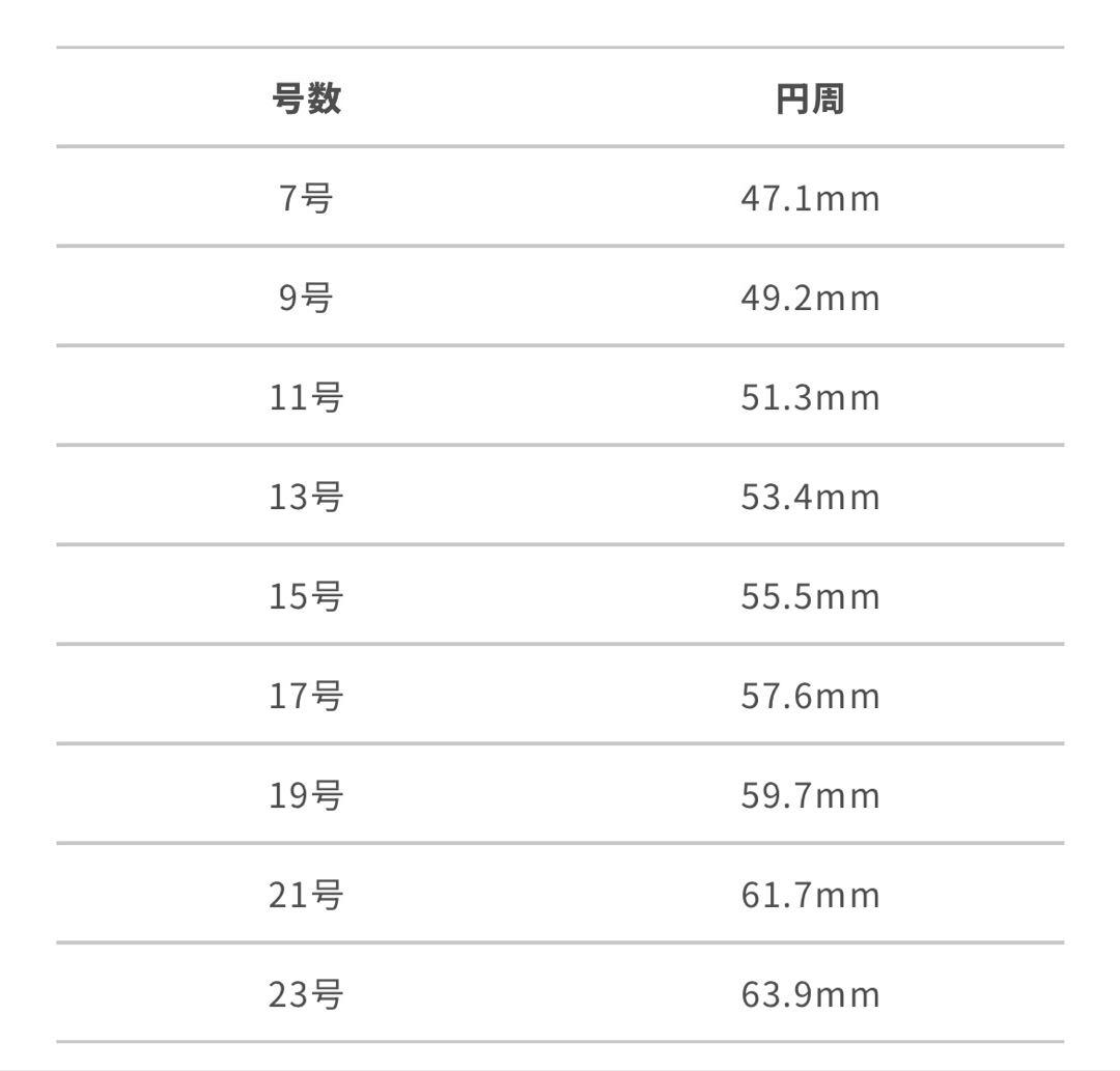 新品未開封品 ダークソウル × TORCH TORCH 銀猫の指輪 11号