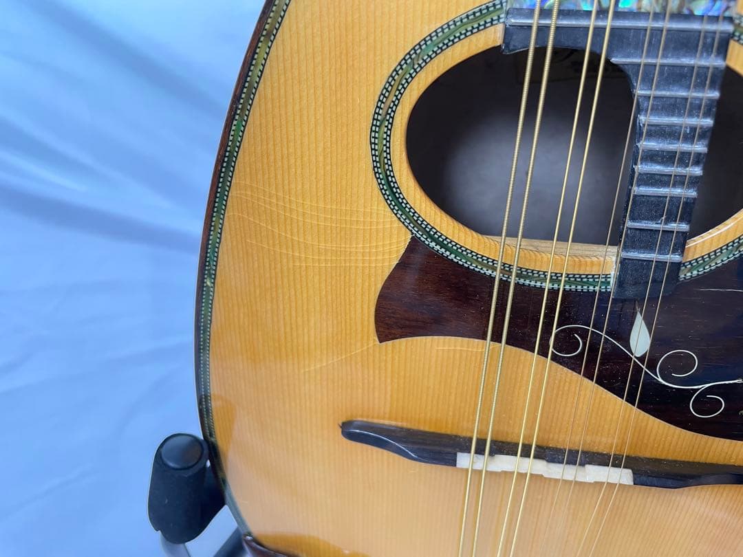 sound ena サウンドエナ M-200 最上位機種マンドリン