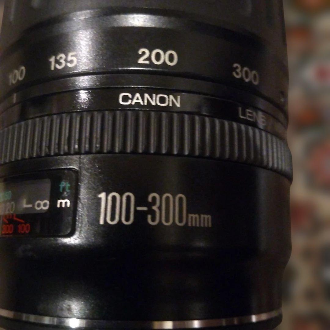 Canon 100-300mm ウルトラソニック ズームレンズ