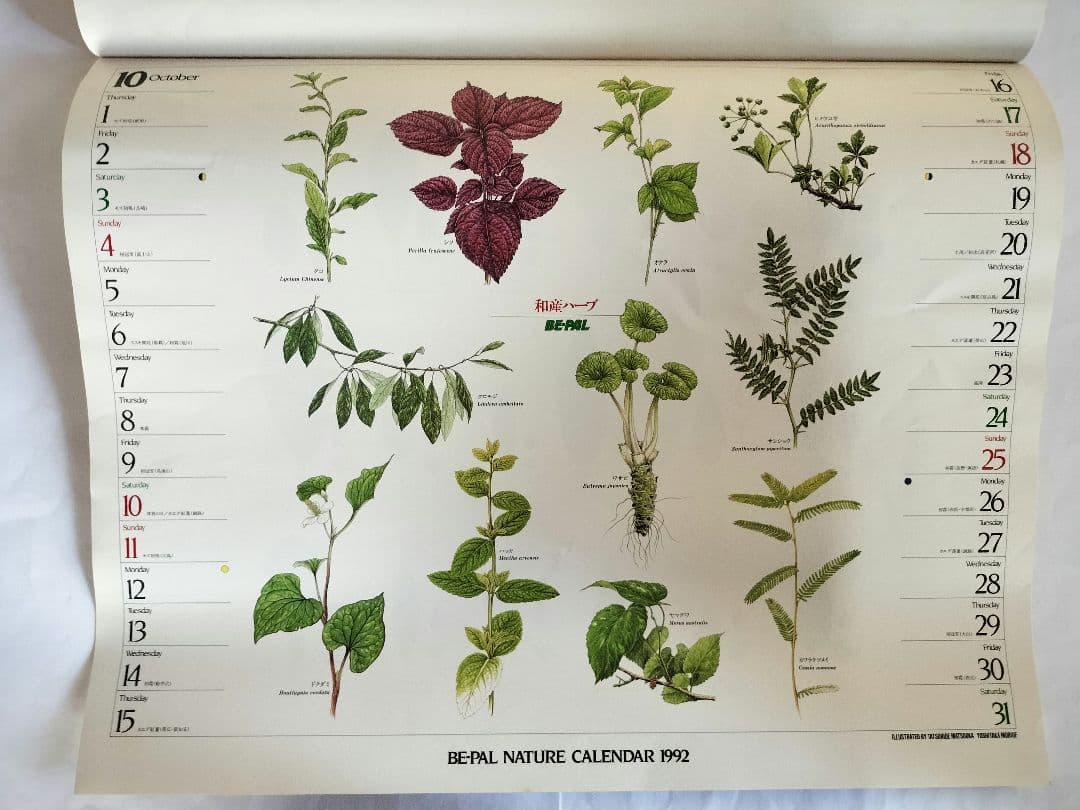 BE-PAL ビーパル カレンダー 新品未使用 1992年 ヴィンテージ
