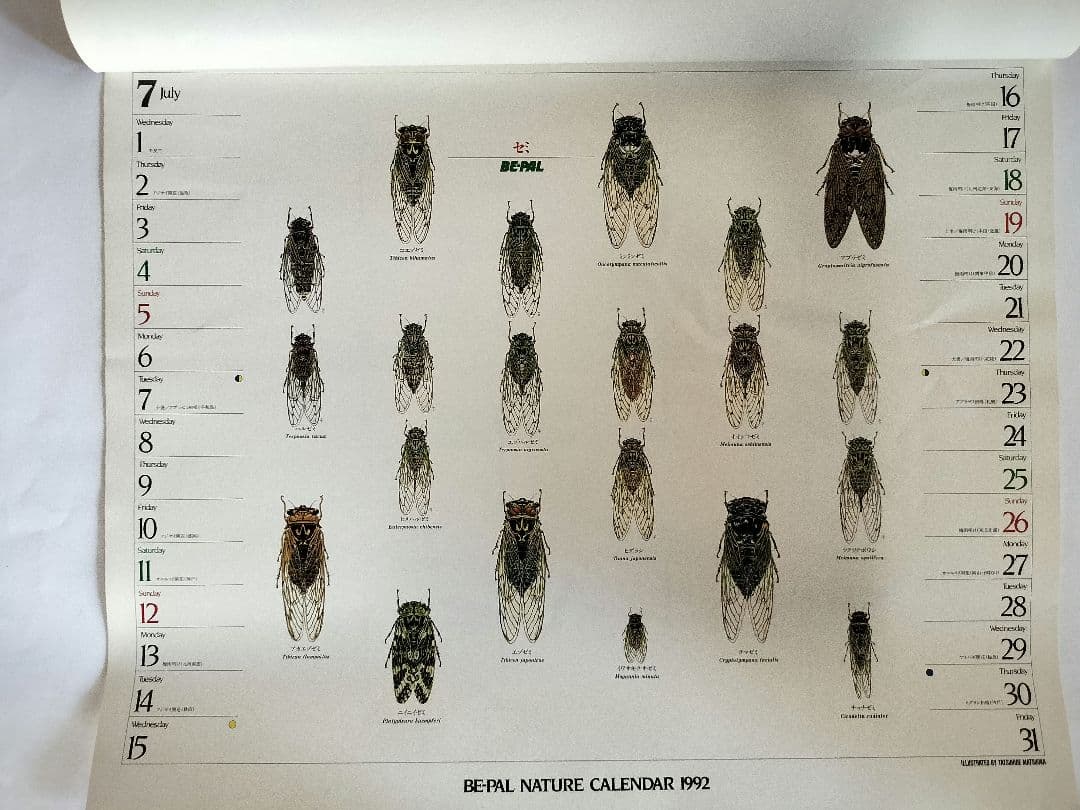 BE-PAL ビーパル カレンダー 新品未使用 1992年 ヴィンテージ