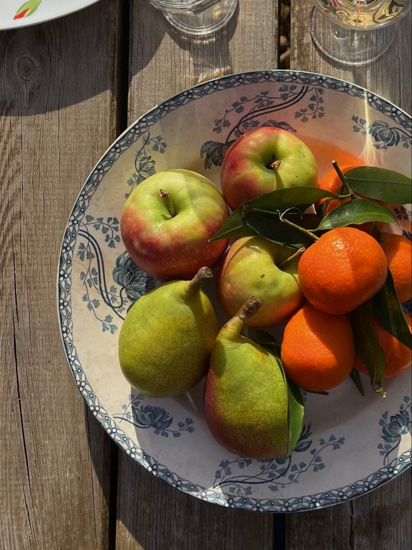 ◆フランスアンティーク｜サングミンヌ30cm大皿プレート花ボタニカル青緑陶器睡蓮