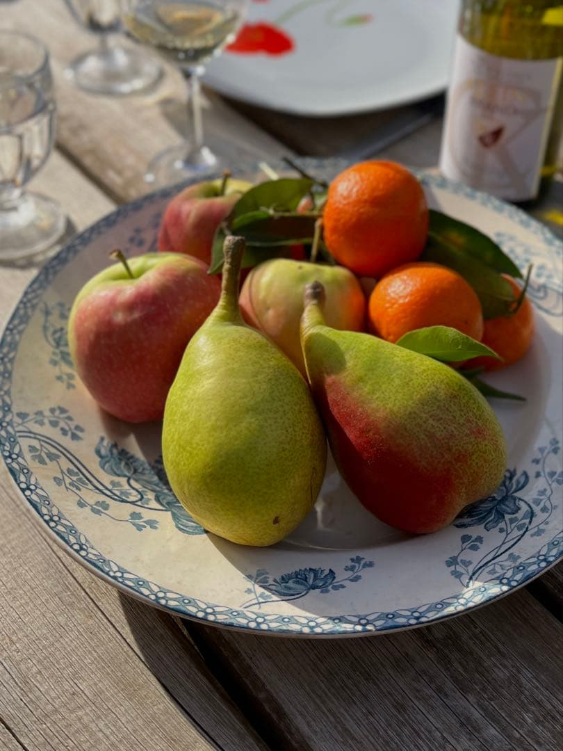 ◆フランスアンティーク｜サングミンヌ30cm大皿プレート花ボタニカル青緑陶器睡蓮