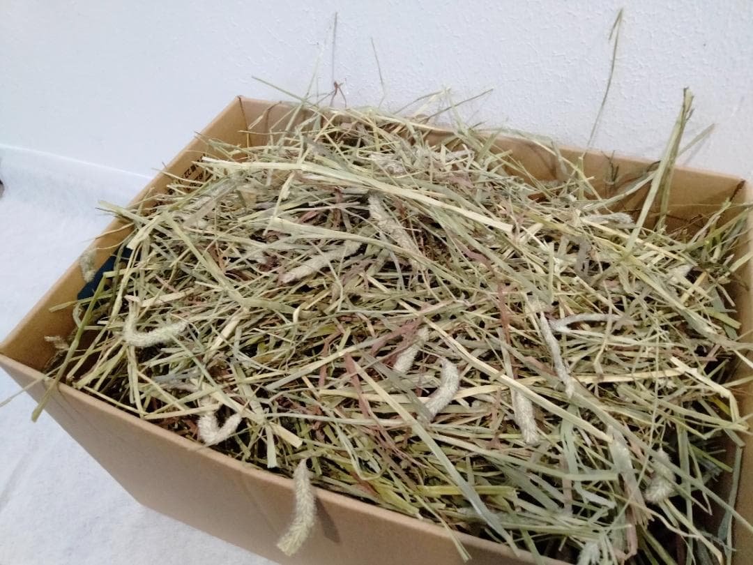 US産 チモシー 100kg ２番刈 ソフトスーパープレミアム