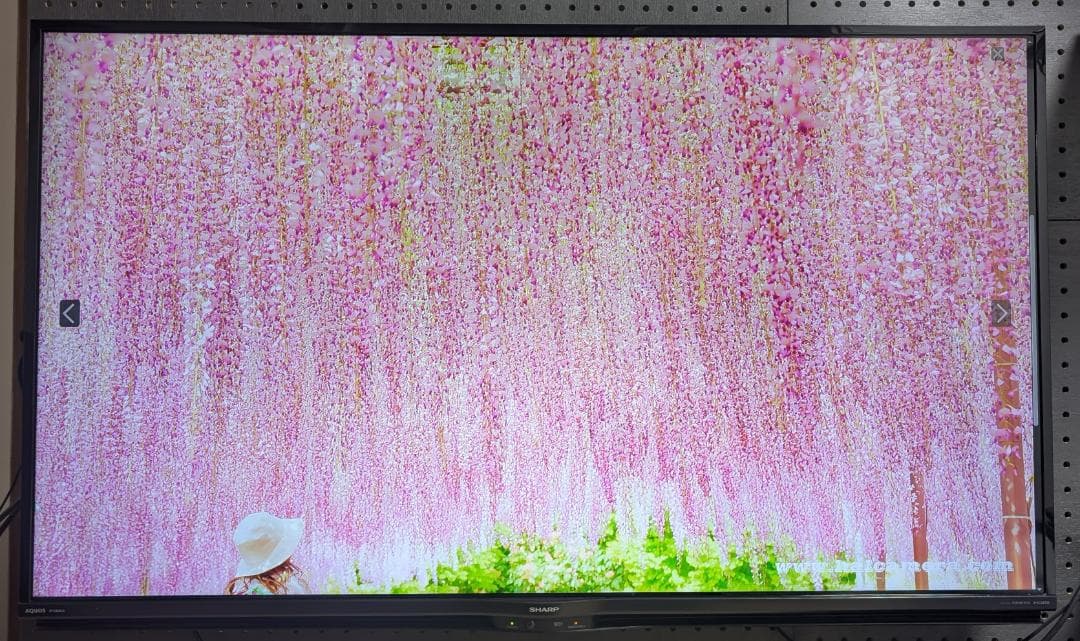 せ*ん様 SHARP シャープ 50V型 液晶テレビ AQUOS 4T-C50A