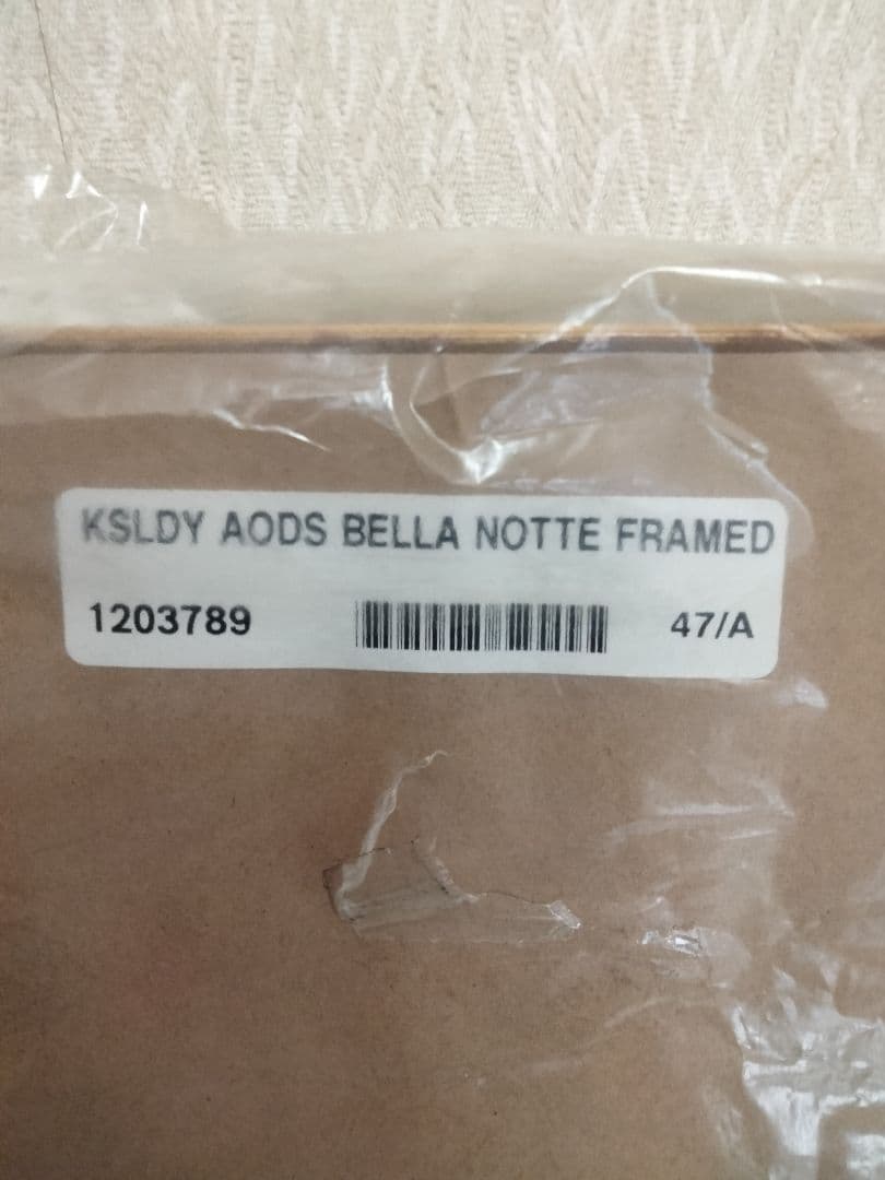 ディズニーわんわん物語　トランプとレディ