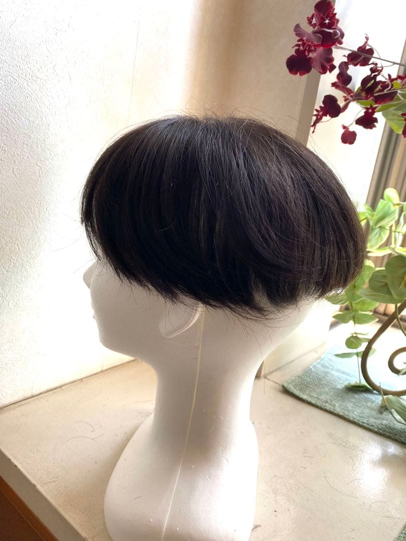 ジュリアオージェ(アートネーチャー)部分ウィッグ ショートボブ前髪あり