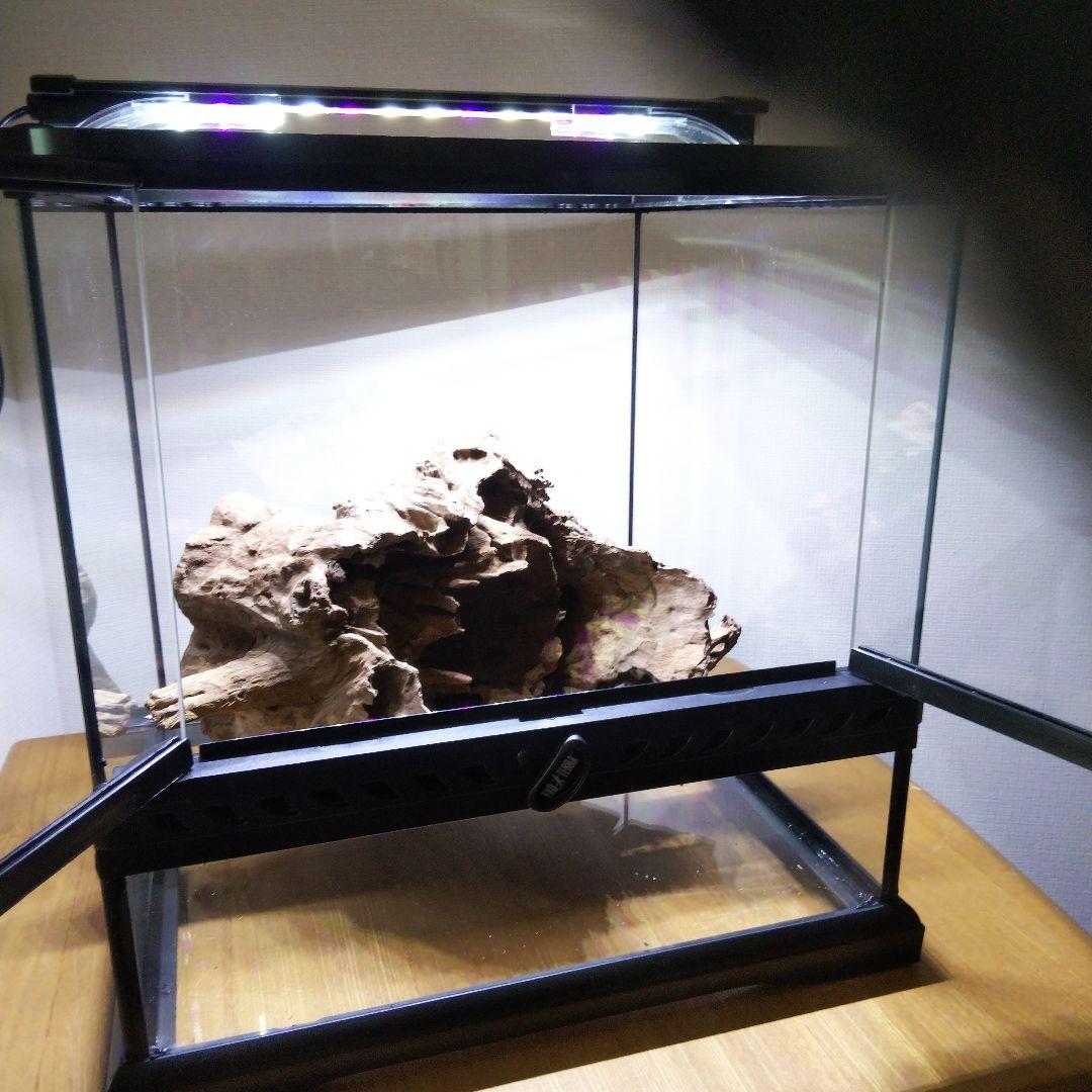 フトアゴヒゲトカゲ飼育　爬虫類飼育ケージ