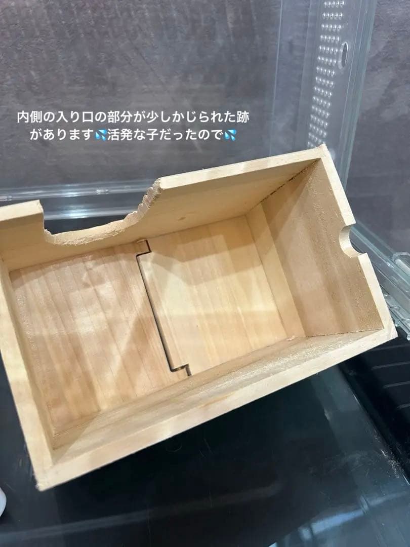 【総額2万円相当！ハムスター飼育セット】GEX グラスハーモニー・新品おやつ付き