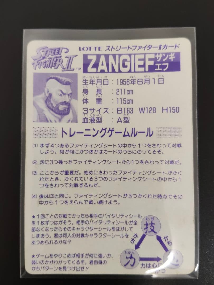 超希少 全12キャラ LOSE ver. ストリートファイター カード