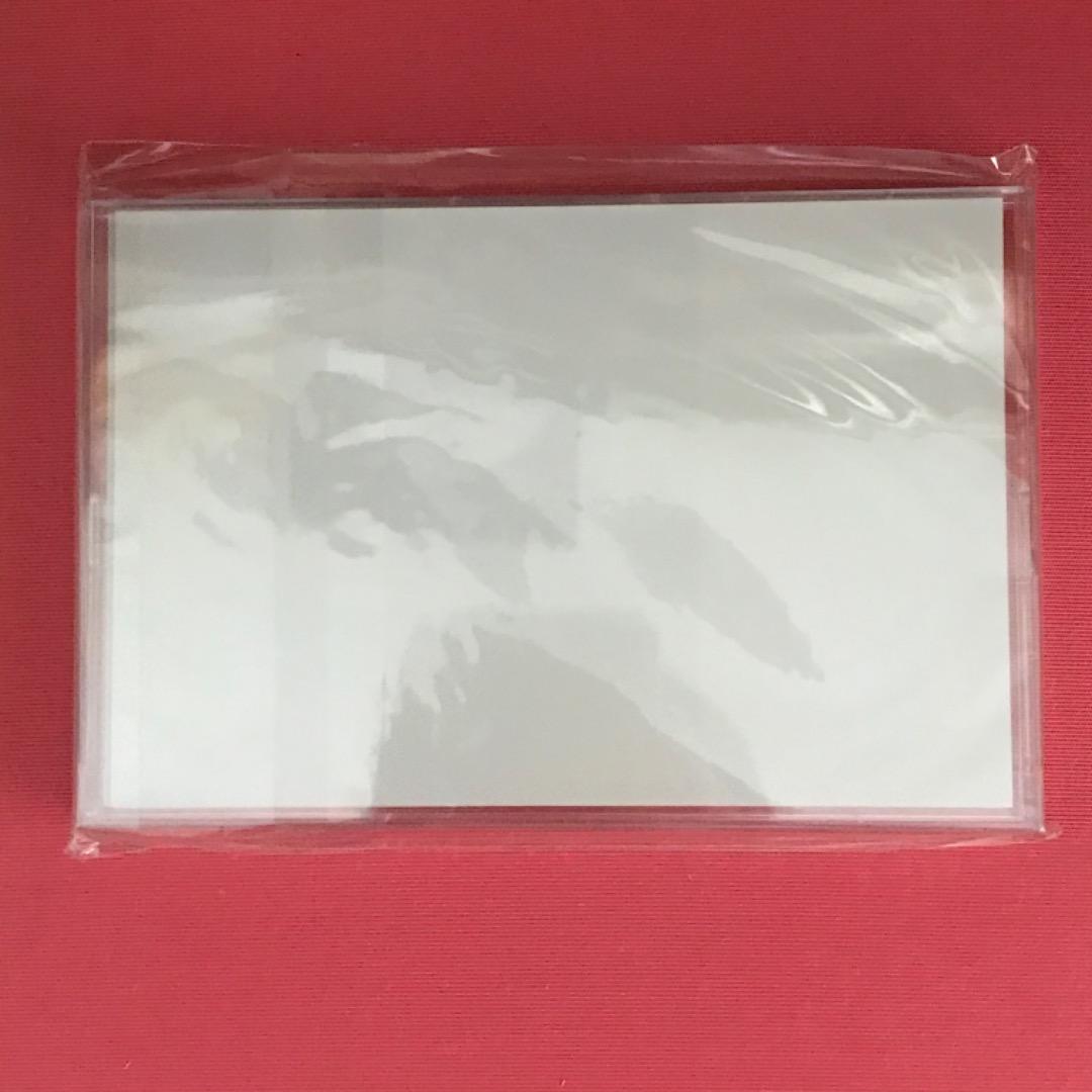 マギー　2015年 カレンダー　レア